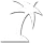 palmtree